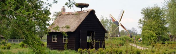 LL5 650x200.jpg